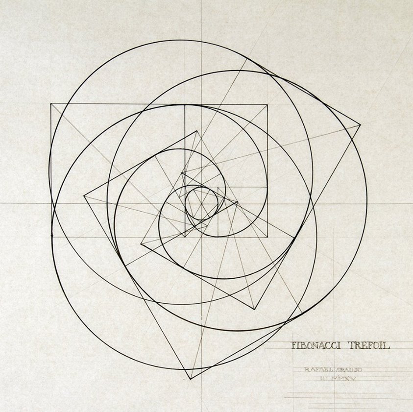 A fibonacci spiral. Just perfect.
